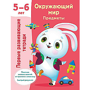 Окружающий мир. Предметы. 5-6 лет