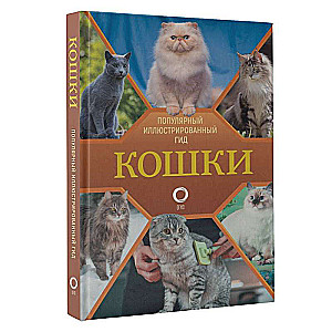 Кошки