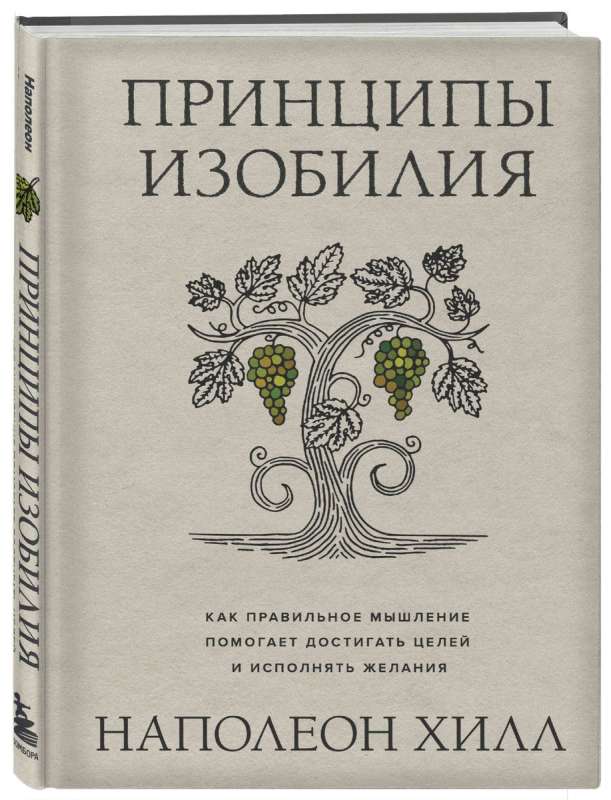 Принципы изобилия. Как правильное мышление помогает достигать целей и исполнять желания