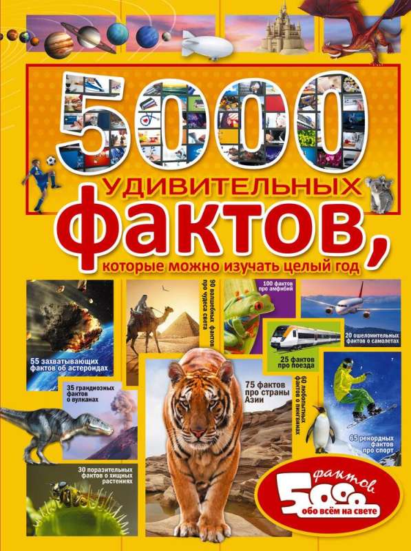 5000 удивительных фактов, которые можно изучать целый год