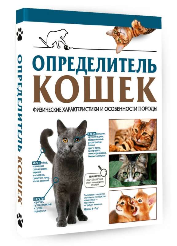 Определитель кошек. Физические характеристики и особенности породы