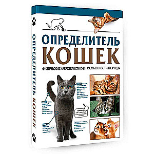 Определитель кошек. Физические характеристики и особенности породы