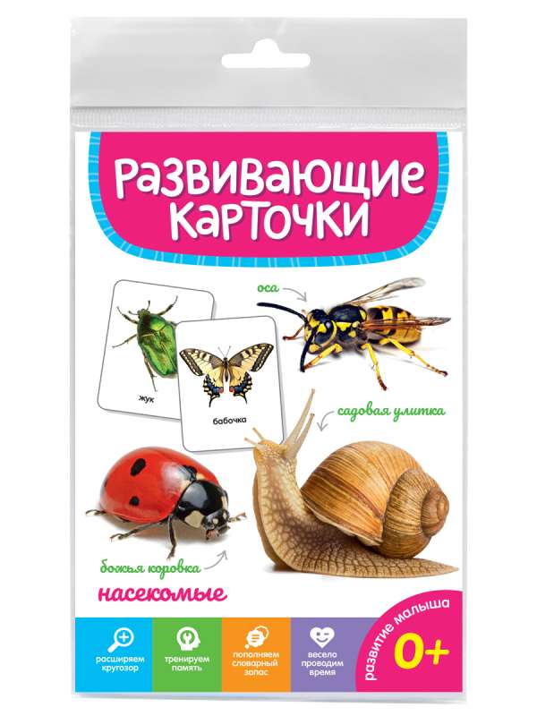 Развивающие карточки. Насекомые