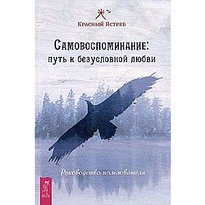 Самовоспоминание: путь к безусловной любви. Руководство пользователя 