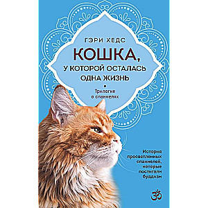 Кошка, у которой осталась одна жизнь