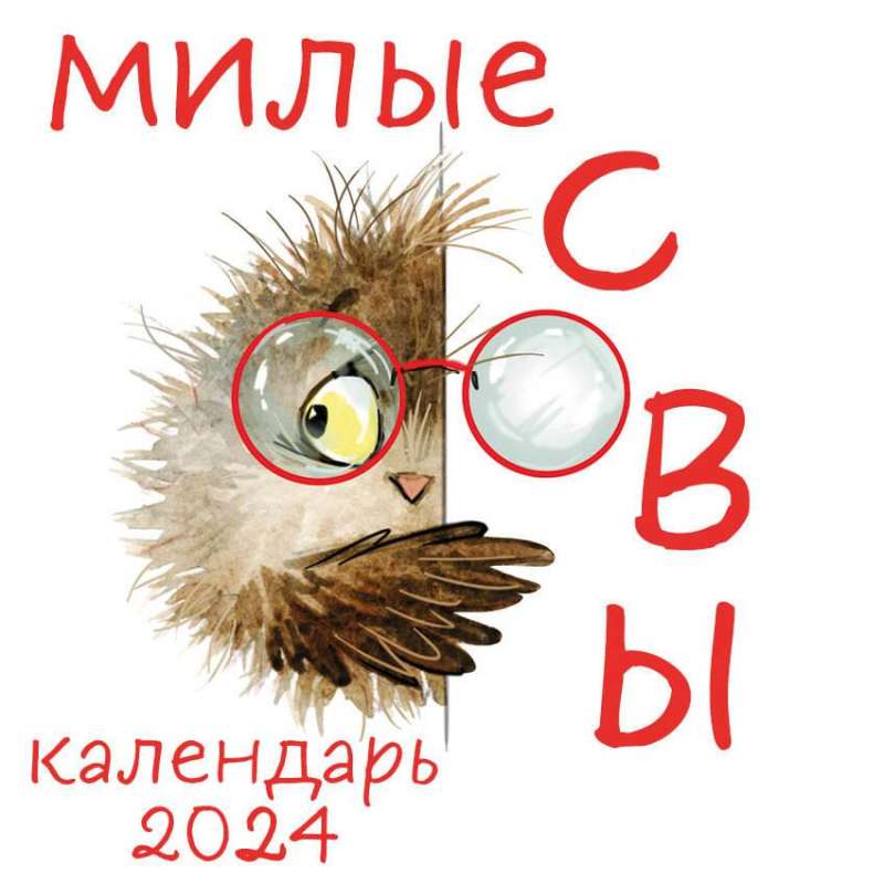 Милые совы. Календарь настенный на 2024 год 300х300 мм