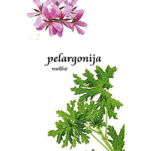 Pelargonija veselībai