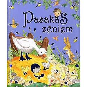 Pasakas zēniem