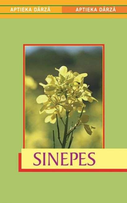 Aptieka dārzā. Sinepes