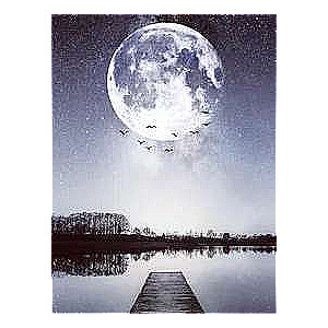 Diamond mosaic - Full moon on the lake