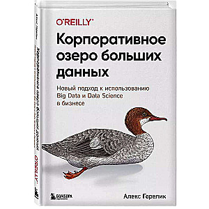 Корпоративное озеро больших данных. Новый подход к использованию Big Data и Data Science в бизнесе