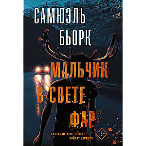 Мальчик в свете фар