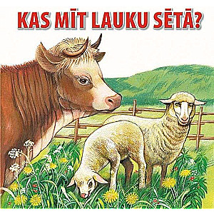 Kas mīt lauku sētā?