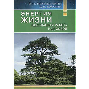 Энергия жизни. Осознная работа над собой