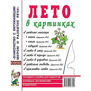 Лето в картинках. Наглядное пособие для педагогов, логопедов, воспитателей и родителей. 