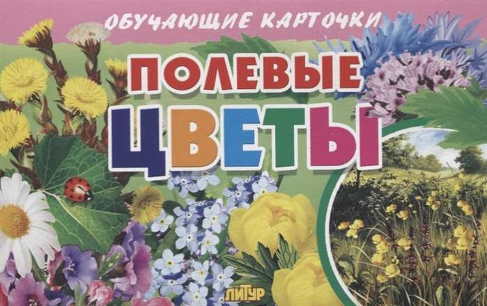 Полевые цветы