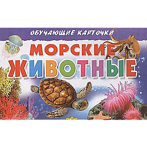 Обучающие карточки. Морские животные