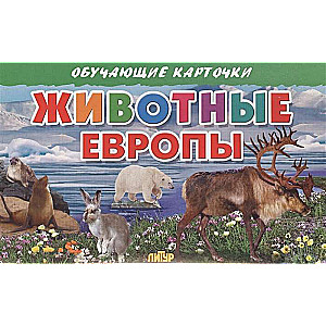 Обучающие карточки. Животные Европы