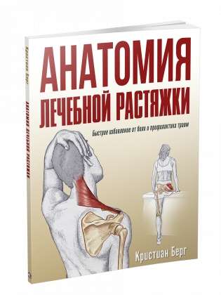 Анатомия лечебной растяжки: быстрое избавление от боли и профилактика травм