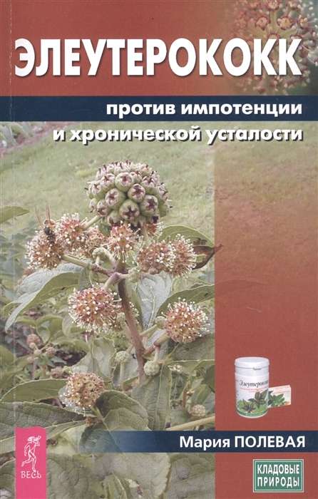 Элеутерококк против импотенции и хронической усталости 