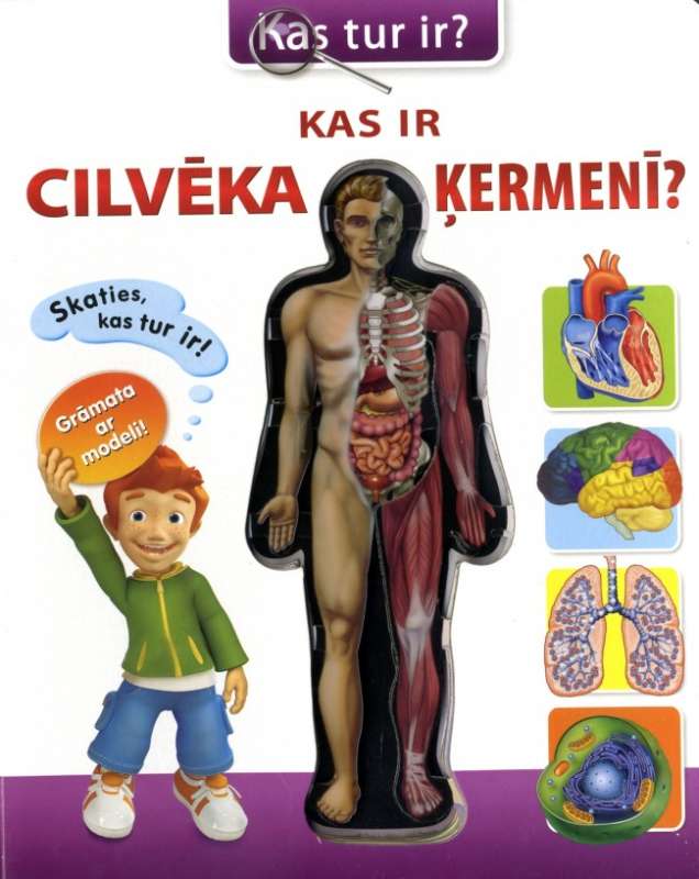 Kas ir cilvēka ķermenī?