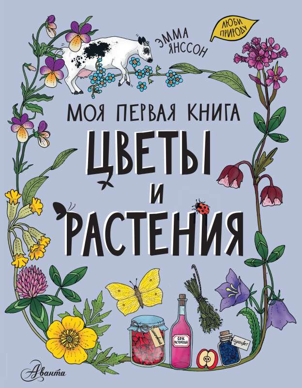 Цветы и растения