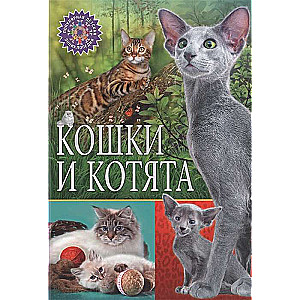 Кошки и котята