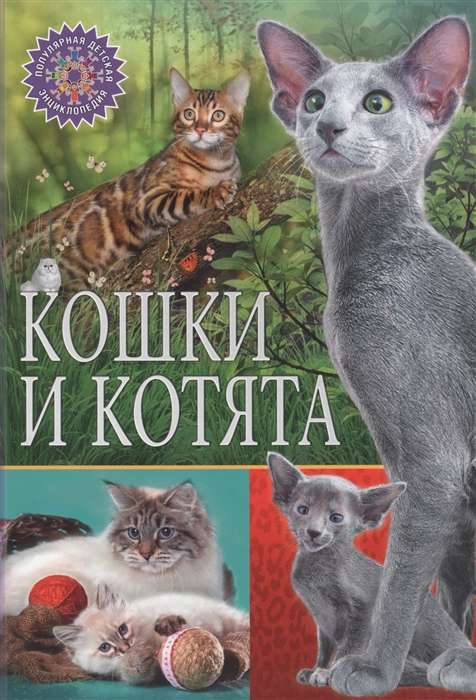 Кошки и котята