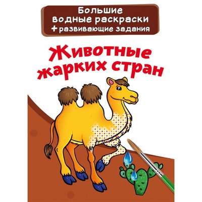 Животные жарких стран 