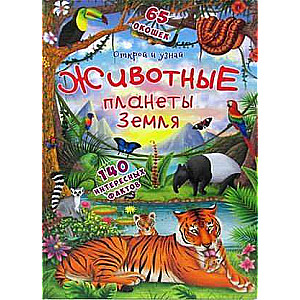 Книжка с секретными окошками.Открой и узнай.Животные планеты Земля 