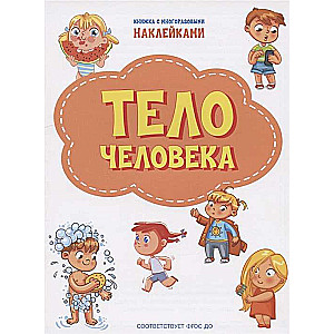 Тело человека. Книжка с многоразовыми наклейками