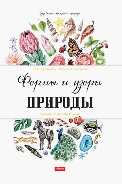 Формы и узоры природы