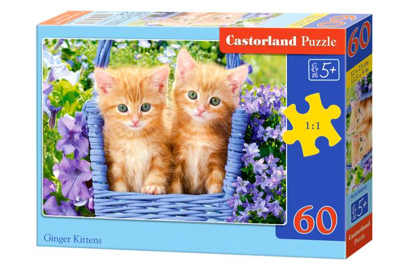 Пазл Ginger Kittens 60 дет.