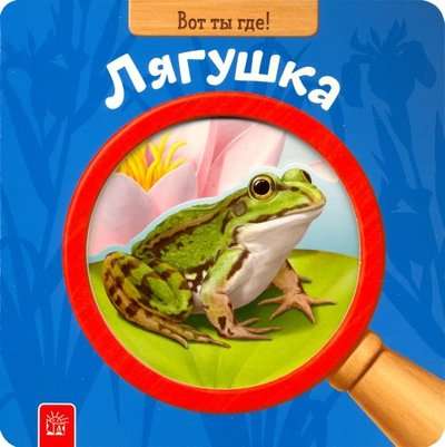 Вот ты где! Лягушка