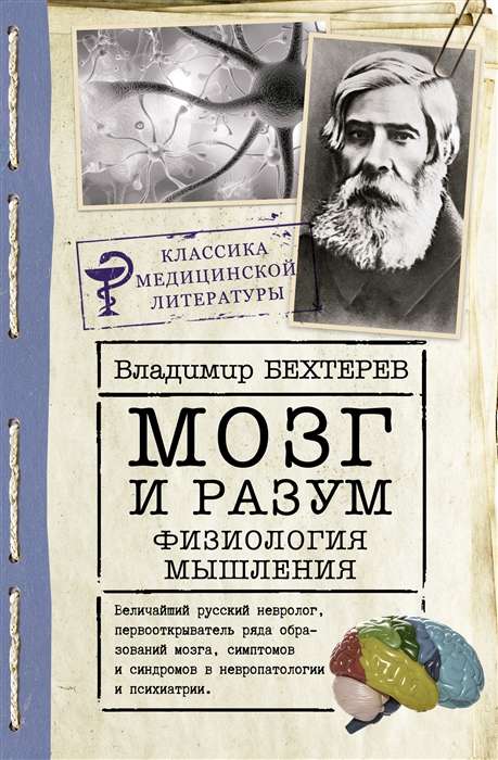 Мозг и разум: физиология мышления