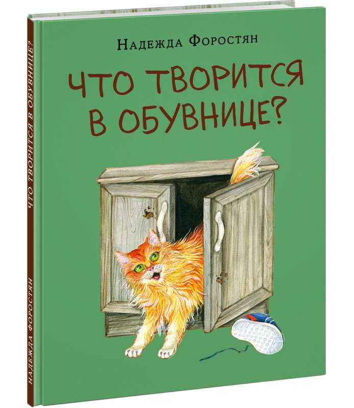 Что творится в обувнице? 