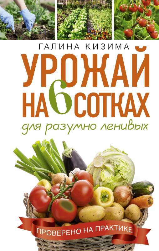 Урожай на 6 сотках для разумно ленивых