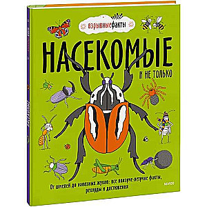 Насекомые и не только. От шмелей до навозных жуков: все ползуче-летучие факты, рекорды и достижения