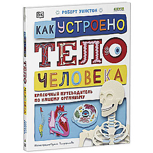 Как устроено тело человека. Красочный путеводитель по нашему организму