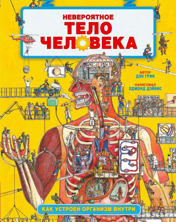 Невероятное тело человека. Как устроен организм внутри