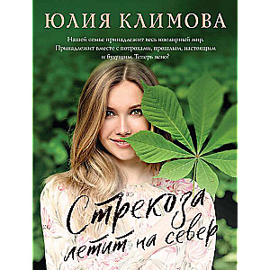 Стрекоза летит на север