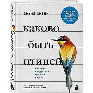 Каково быть птицей: о полетах и гнездовании, кормлении и пении. Как и чем живут самые известные птицы на земле