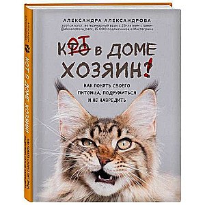 Кот в доме хозяин! Как понять своего питомца, подружиться и не навредить