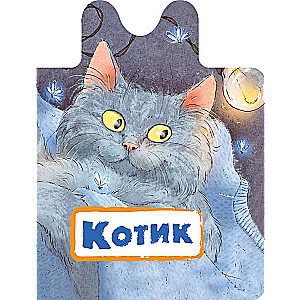 Котик