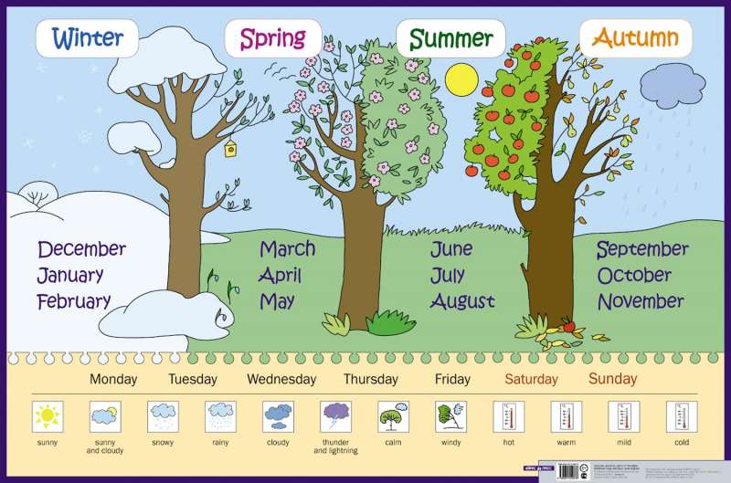 Плакат - Времена года, месяцы, дни недели. Seasons, months, days of week. Наглядное пособие для начальной школы