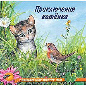 Приключения котёнка