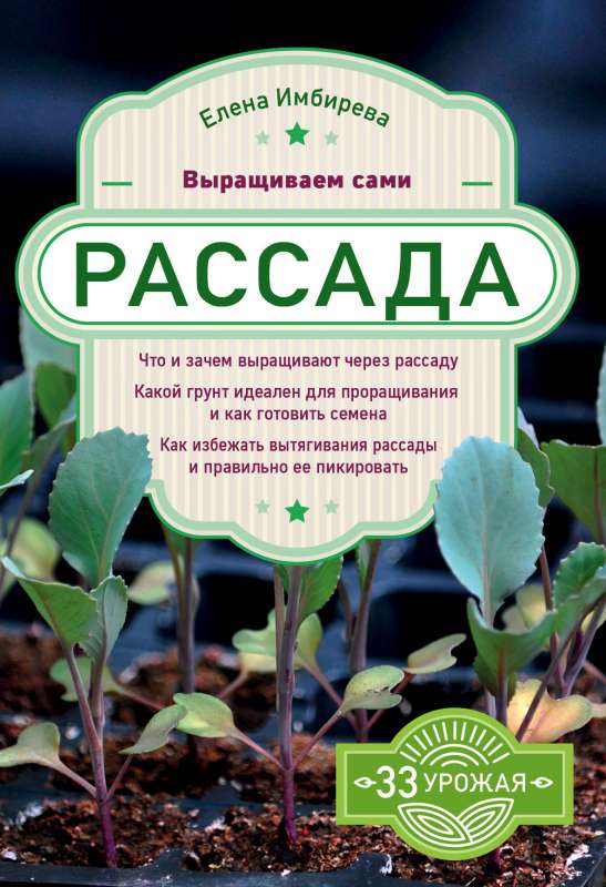 Рассада. Выращиваем сами