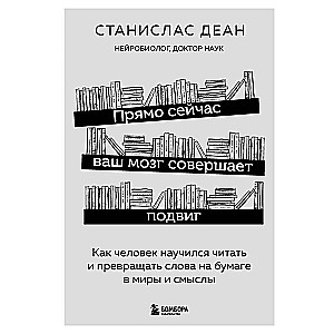 Прямо сейчас ваш мозг совершает подвиг. Как человек научился читать и превращать слова на бумаге в миры и смыслы