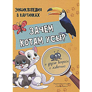 Зачем котам усы?