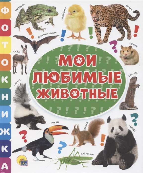 Мои любимые животные